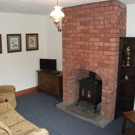 Bryn Cottage Llandderfel Экстерьер фото